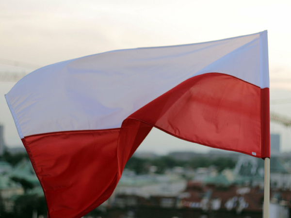 Навроцкий предложил Германии выплатить Польше репарации на оборону