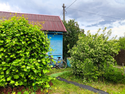 Адвокат Яковлева рассказала, когда дом могут обязать снести