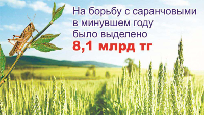 Ждать ли земледельцам нашествия насекомых-вредителей?