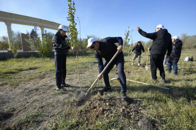 Таза Қазақстан: плюс 3000 деревьев в зеленый фонд Улытау