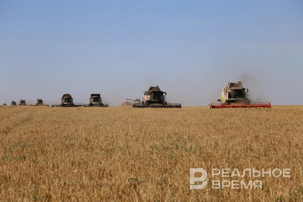 В Татарстане Россельхознадзор признал недействительными 70 деклараций на зерно