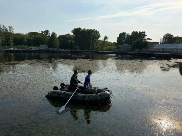 В Менделеевске в пруд Ушковских островов выпустили более ста толстолобиков