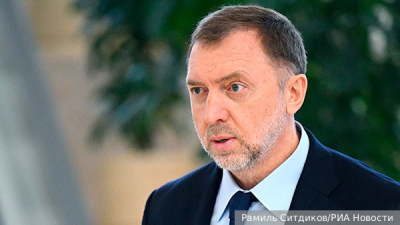 Волк напал на женщину в Гамбурге