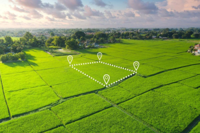 Мошенник предлагал квартиры и земельные участки по заниженным ценам в Астане