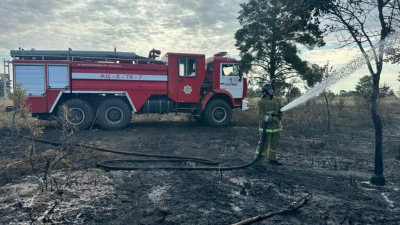 Пожар площадью более 800 гектаров в Наурзумском заповеднике ликвидировали спустя сутки