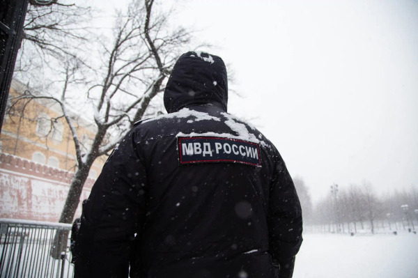 МВД РФ призвало не реагировать на провокации организаторов незаконных митингов