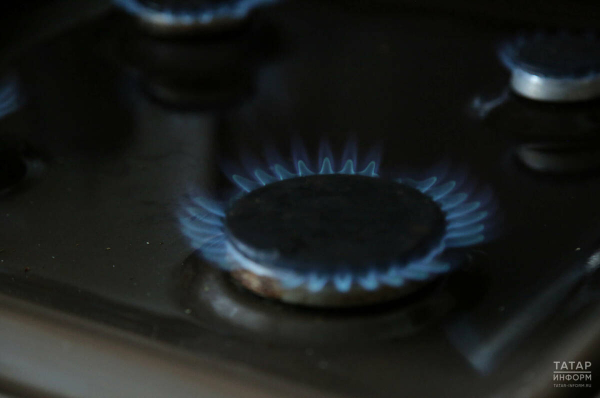 Депутат Якубовский разъяснил правила перехода с газа на электричество