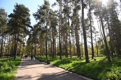 Алматы усиливает борьбу с загрязнением воздуха: новые меры и инициативы