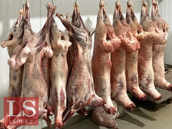В Казахстане построят завод по переработке мяса