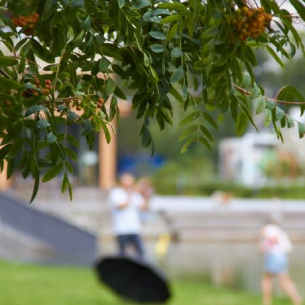 Стало известно, какая погода будет летом в Татарстане