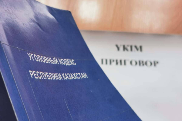 Полтора года ограничения свободы для экс-прокурора за смертельный удар объяснили в суде