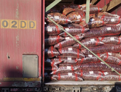 На границе Челябинской области задержали 45 тонн орехов и сухофруктов