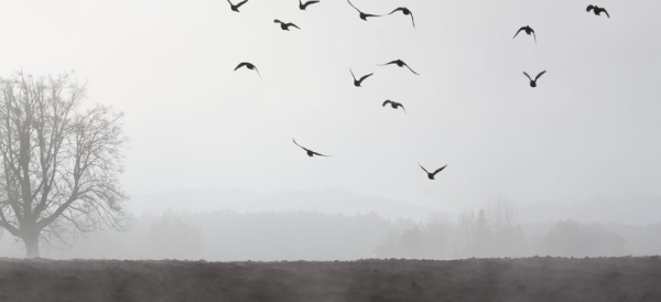 Какая погода ожидает казахстанцев в грядущие выходные