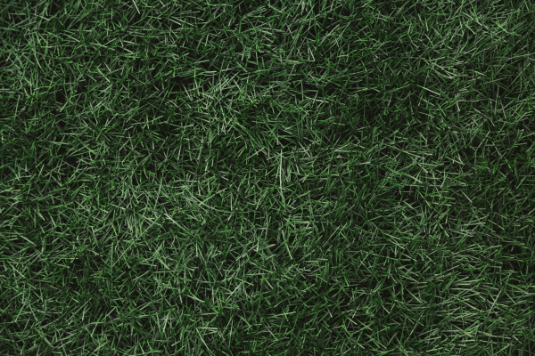 Тренер женской сборной Люксембурга уволен из-за недопустимых сообщений игрокам