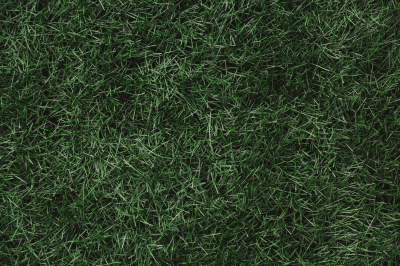 Тренер женской сборной Люксембурга уволен из-за недопустимых сообщений игрокам