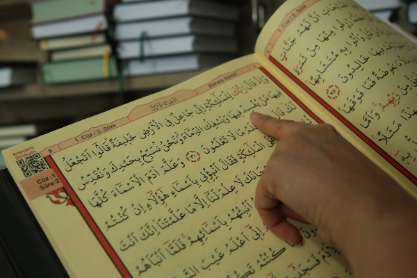В Дании будут уголовно преследовать за сжигание Корана