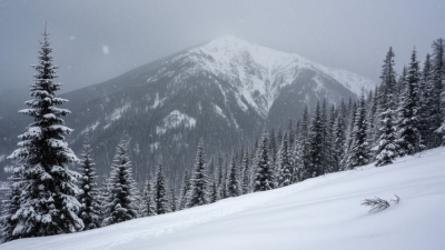 Российские альпинисты застряли на вулкане в Антарктиде из-за страшной вьюги 21/01/2026 &ndash; Новости