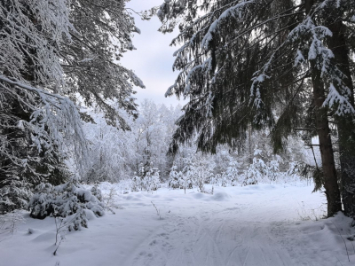 Выяснилось, какой погодой Москва завершит рабочую неделю