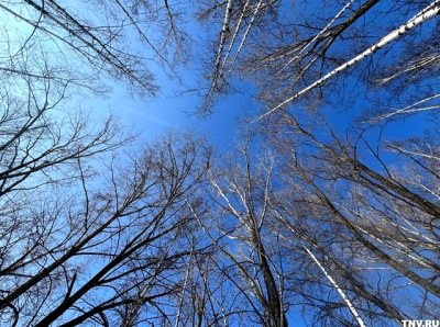 В Гидрометцентре рассказали, как изменится погода в Татарстане в ближайшие дни