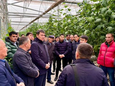 А конкурировать по-прежнему сложно