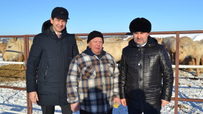 Абдулганиев обещал поддержать бизнес, занимающийся лошадьми татарской породы