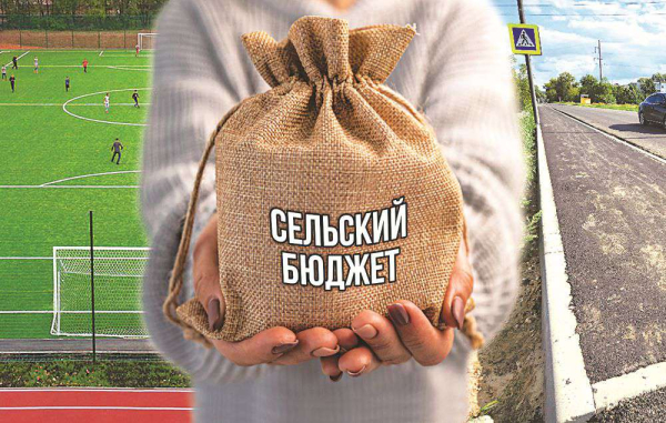 Свой бюджет – свои приоритеты