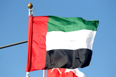 Консульство РФ&nbsp;в&nbsp;Дубае предложило помощь с&nbsp;жильем &laquo;сиротам-социофобам без друзей и&nbsp;знакомых&raquo;