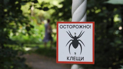 Активность клещей в Татарстане снизилась почти в четыре раза 27/04/2026 &ndash; Новости