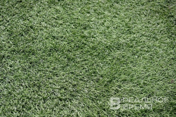 В Казани появились беспилотные роботы-газонокосильщики