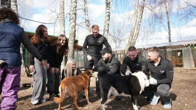 Единороссы Казани привели в порядок территорию зооприюта