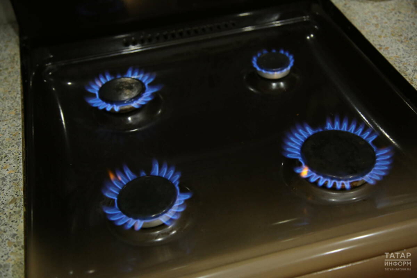 В Татарстане зафиксирован исторический максимум суточной подачи газа