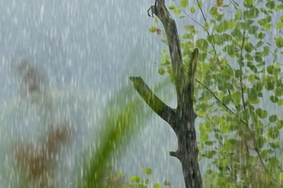 На большей части Казахстана 12 июля ожидаются дожди с грозами
