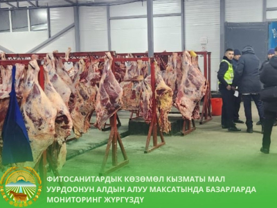 В Бишкеке выявили незаконный ввоз мяса и скота
