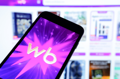 Потери Wildberries и продавцов от атак БПЛА оценили в 800 млрд рублей