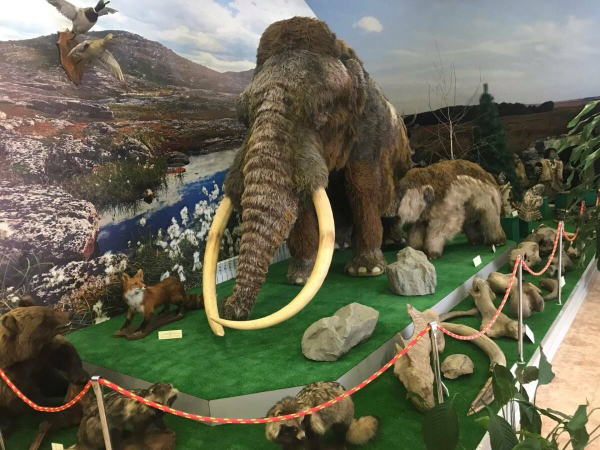 Апастовский краеведческий музей обновят за 80 млн рублей в течение двух лет