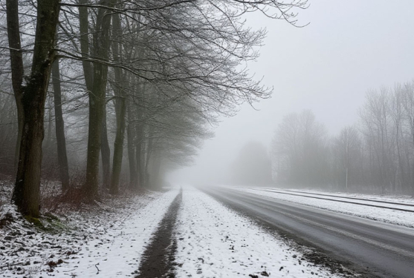 Туманная ловушка: татарстанцев предупредили об ухудшении видимости на дорогах 23/03/2026 &ndash; Новости