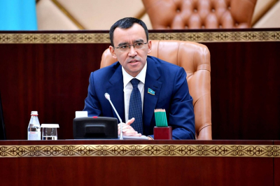 Спикер Сената назвал необходимые условия для роста казахстанской экономики