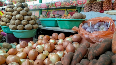 В правительстве придумали, как снизить цены на овощи в мегаполисах Казахстана