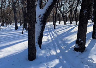 Уход в расцвете лет