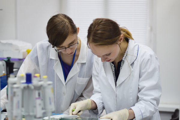 F&amp;F: имбирь усилил сигнальный путь, связанный с развитием нейронов у мышей