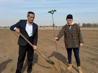 В Алматинской области возрождают знаменитый апорт