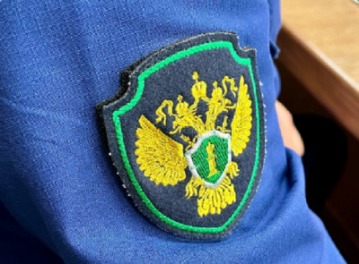 Руководителя челнинской фирмы наказали за несвоевременное перечисление алиментов