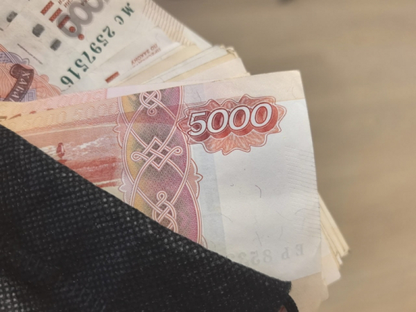 В Новосибирской области изменят правила учета алиментов