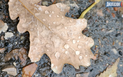 Погода в Актобе на 28-30 октября. Зонты и перчатки не помешает приготовить горожанам