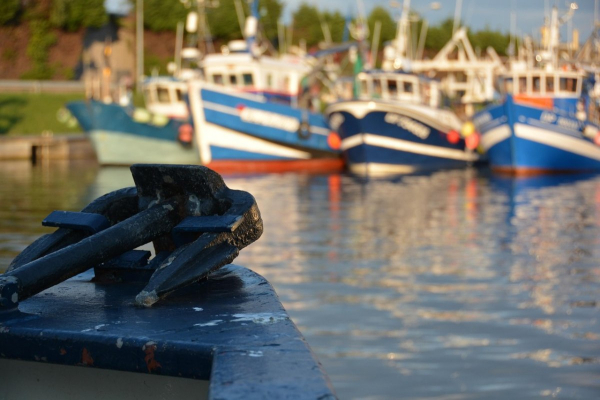 Морской порт стоимостью 300 млн долларов появится в Актау