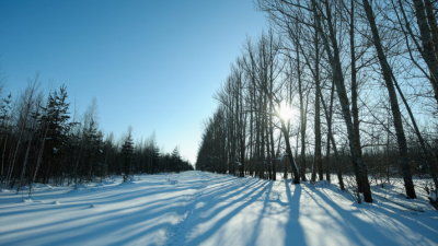 Мороз и солнце: какая погода ожидается в Татарстане в этот четверг &ndash; рассказываем 19/02/2026 &ndash; Новости