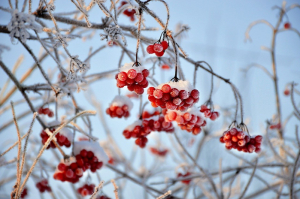 Морозная погода ожидается в центральных и восточных районах Казахстана