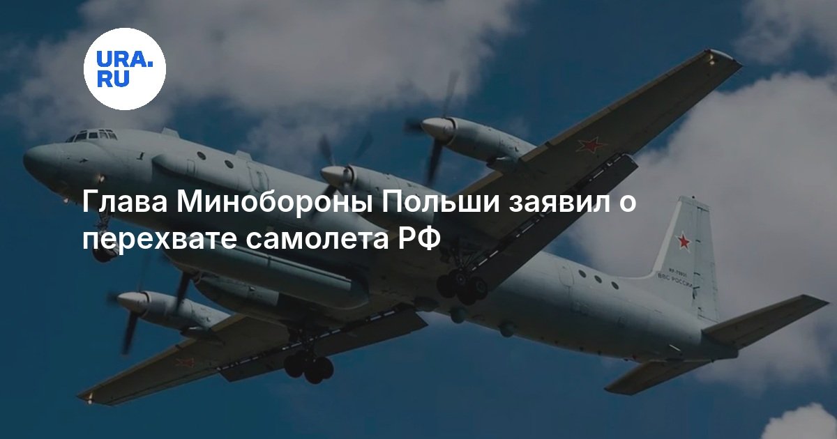 Глава Минобороны Польши заявил о перехвате самолета РФ